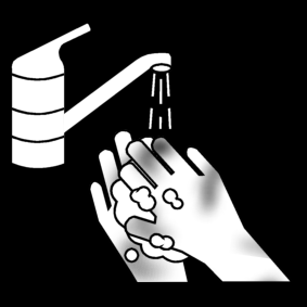 wash your hands
